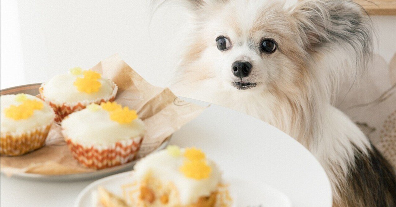 乳製品不使用 水切り不要 柿のカップケーキ 手作り犬おやつレシピ 単品購入 いちかわあやこ 犬ごはん先生 Note 乳製品不使用 水切り不要 柿のカップケーキ 手作り犬おやつレシピ 単品購入 いちかわあやこ 犬ごはん先生 Note