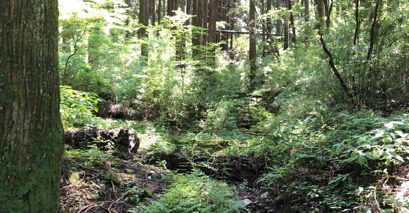 Shiryu ヘラルボニーの記事一覧 Note ノート