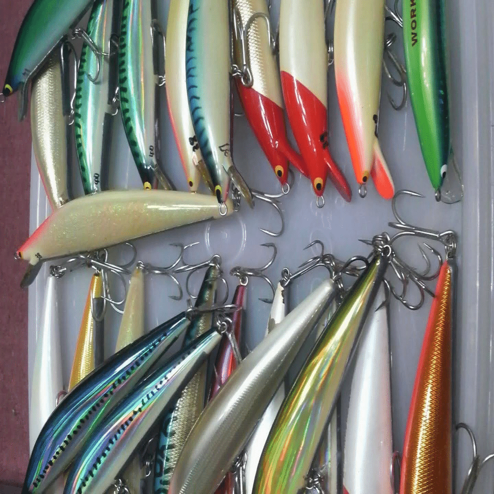 ルアーの本数｜ぺこぺこ