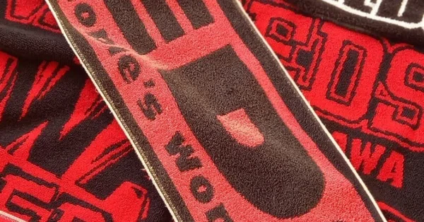 あの日のわたしたち～浦和レッズ30年 10月編 - 岡野雅行｜清尾