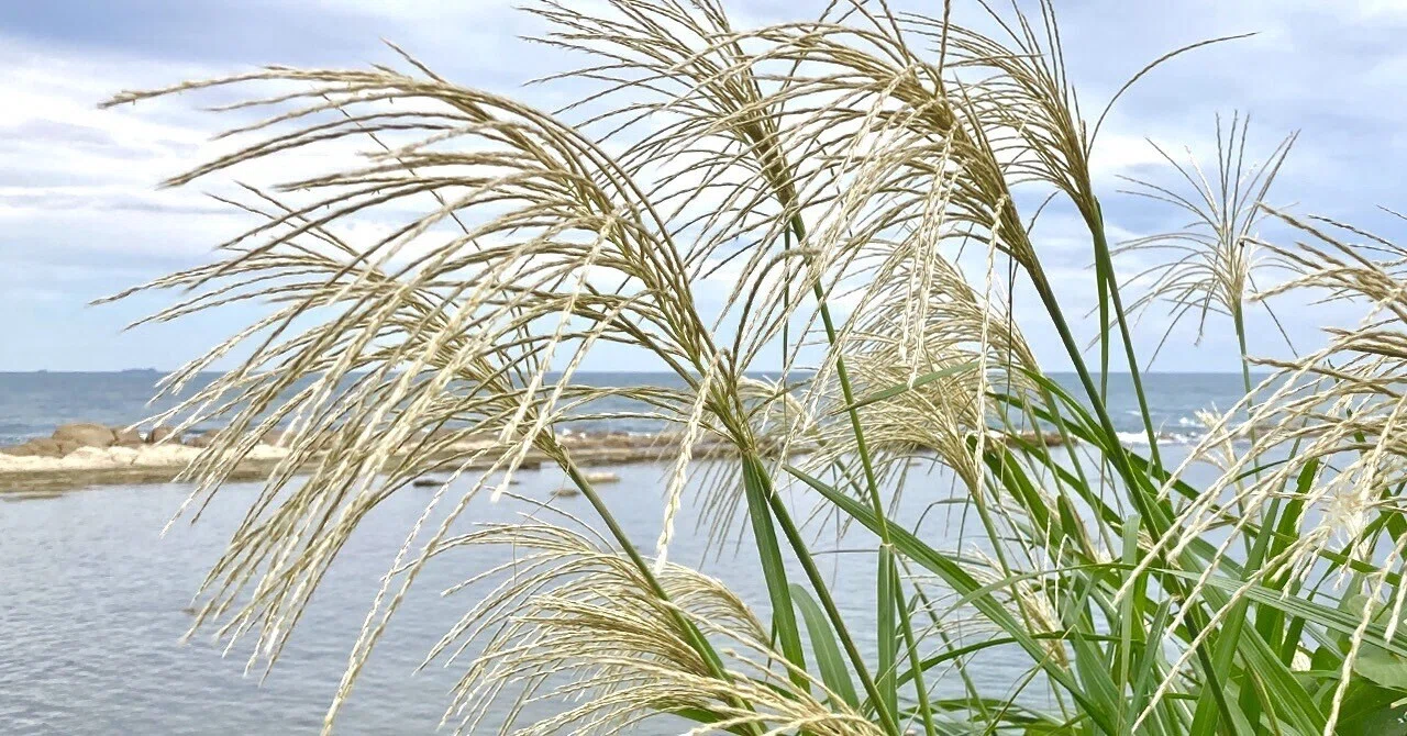 纏わる月｜RIVERSPEY(リバースペイ)