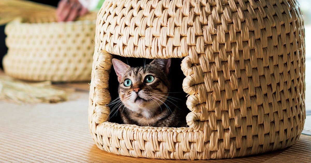 Amazon.co.jp: 猫 かご アフリカ 民藝 猫ちぐら 石田ゆり子 さん
