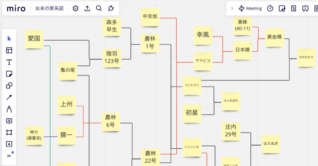 ゼロから始める伊賀の米づくり番外編:Miroを使ってお米の家系図作りを行う🌾｜大森 雄貴 / Yuki Omori, image size:1280x670