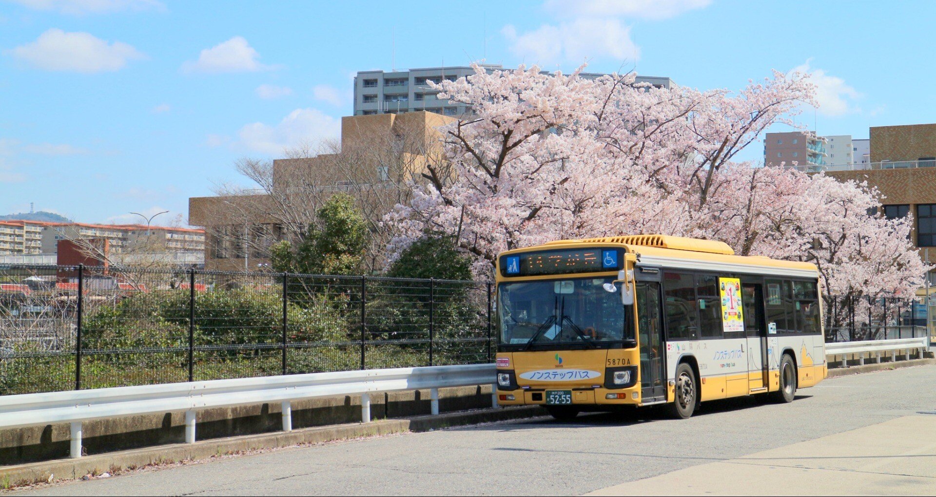 216337c25d2afe05fdade38f920734