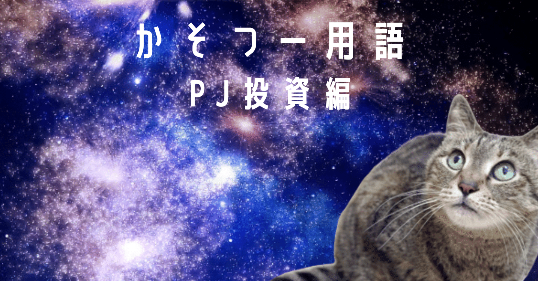 かそつー用語 PJ投資編｜satuki🔺