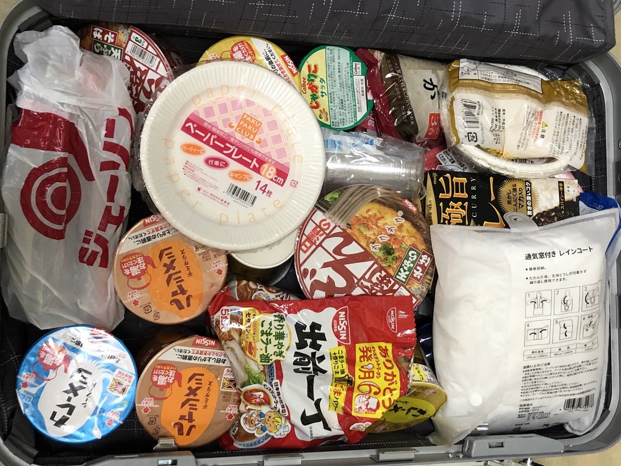 ポケモンワールドチャンピオンシップス2018ナッシュビル旅行記～旅慣れ