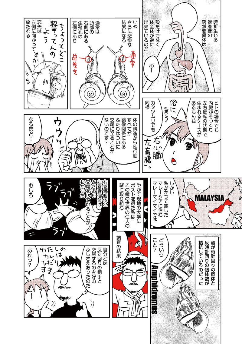 ダーウィンの覗き穴 性的器官はいかに進化したか マンガ版 第16回 最終回 Hayakawa Books Magazines B ダーウィンの覗き穴 性的器官はいかに進化したか マンガ版 第16回 最終回 Hayakawa Books Magazines B