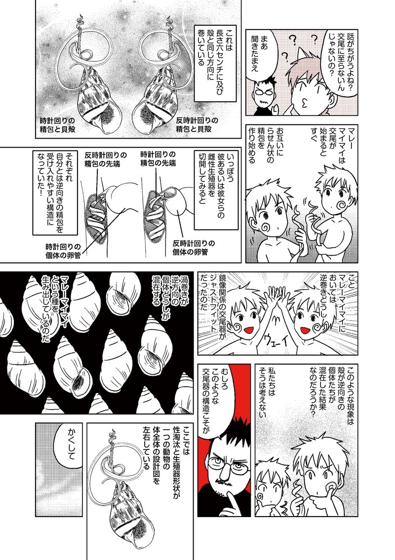 ダーウィンの覗き穴 性的器官はいかに進化したか マンガ版 第16回 最終回 Hayakawa Books Magazines B ダーウィンの覗き穴 性的器官はいかに進化したか マンガ版 第16回 最終回 Hayakawa Books Magazines B