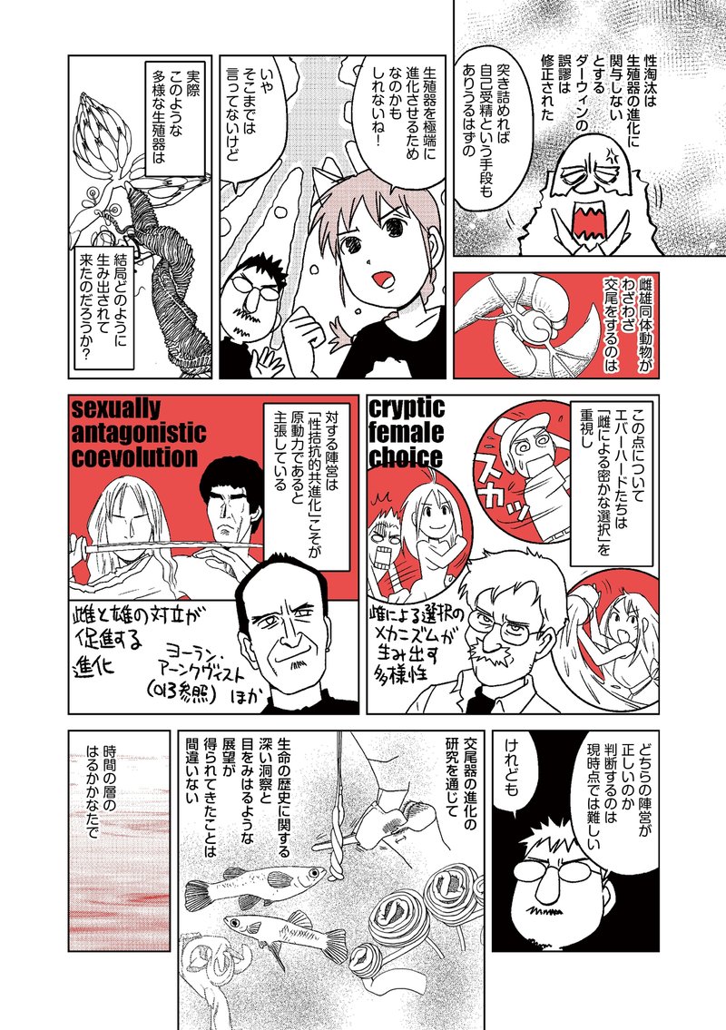 ダーウィンの覗き穴 性的器官はいかに進化したか マンガ版 第16回 最終回 Hayakawa Books Magazines B ダーウィンの覗き穴 性的器官はいかに進化したか マンガ版 第16回 最終回 Hayakawa Books Magazines B