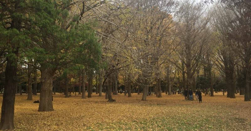 今日も代々木公園  落ち葉