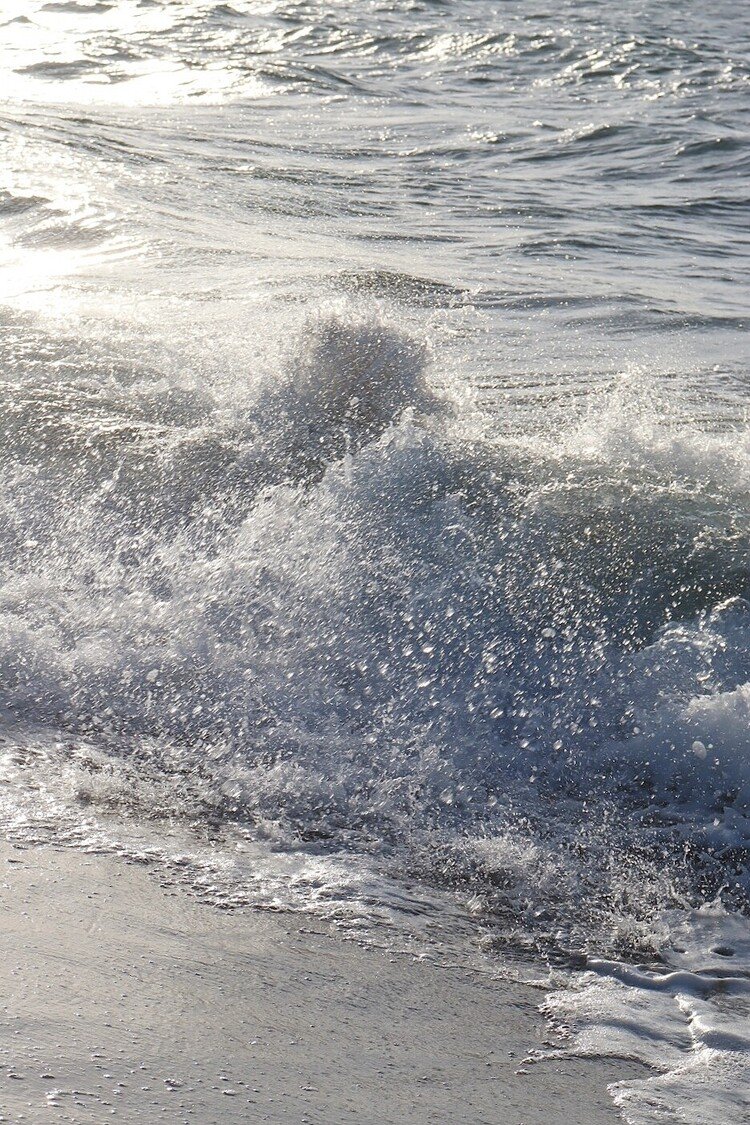 力強い波しぶき。波の躍動感を感じてみては…