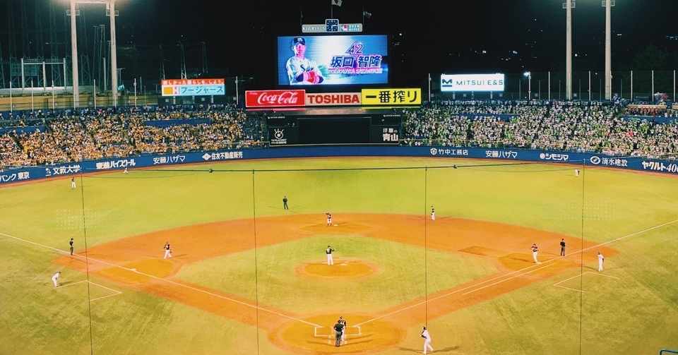 神宮球場の 買ってよかった 座席 風に吹かれてビールを飲む内野席編 19年4月更新版 虫明 麻衣 Mai Mushiake Note