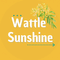 Wattle Sunshine