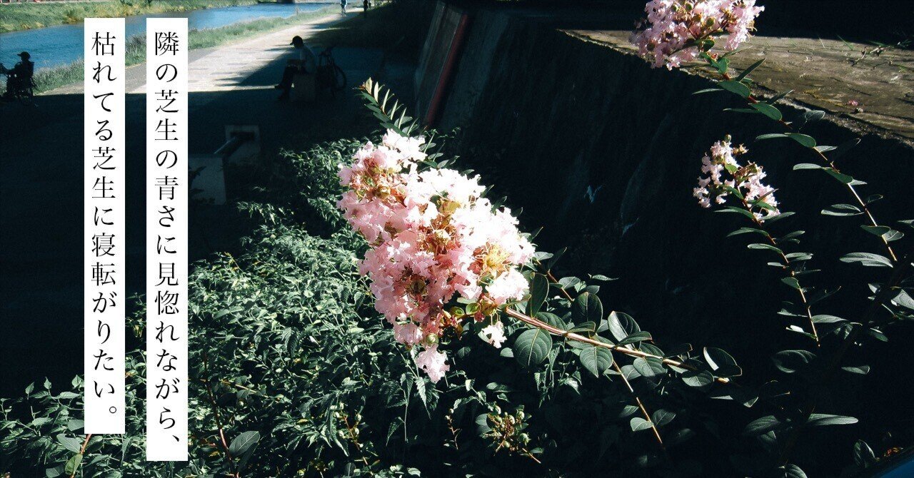 隣の芝生の青さに見惚れながら、枯れてる芝生に寝転がりたい。｜mitani