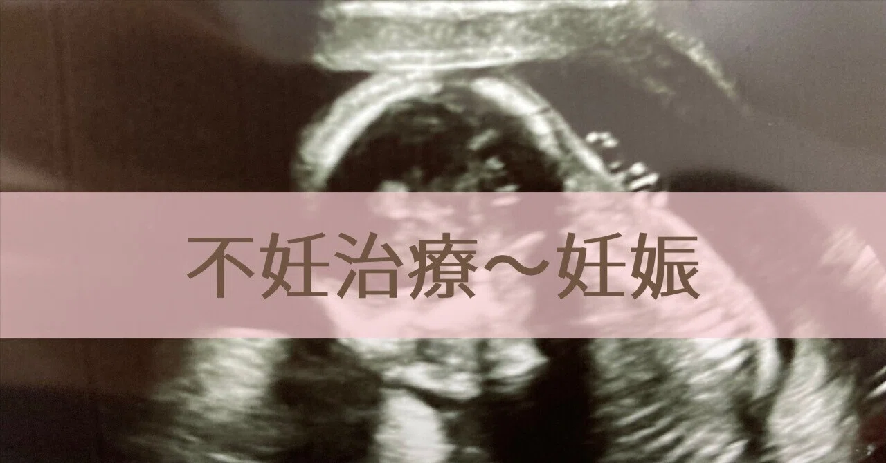 The Story of Becoming a New Mom (Infertility Treatment to Pregnancy)｜ゆか ...