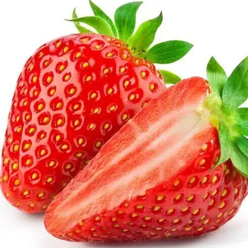 Reza Fragaria