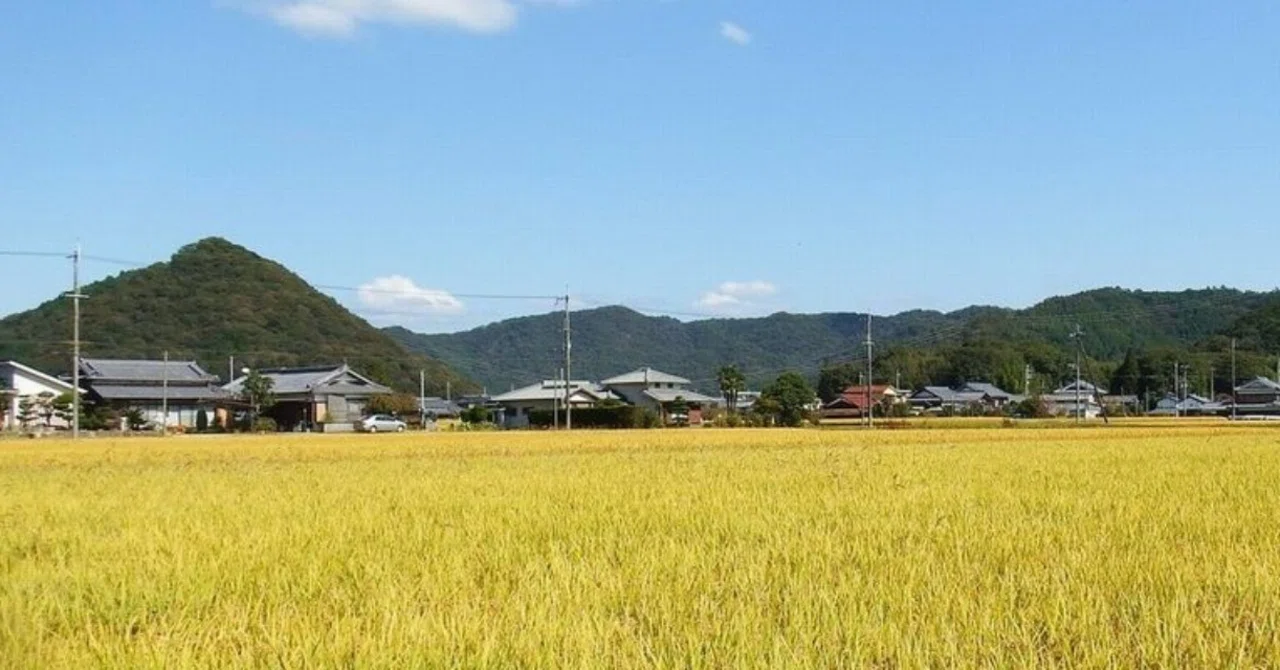 皇室領矢野荘 領域型荘園とは K Matsumoto Note