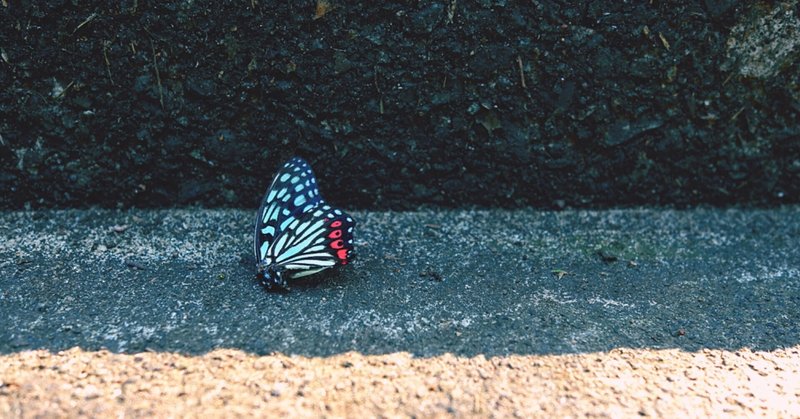 それも言葉これも言葉 の新着タグ記事一覧 Note つくる つながる とどける