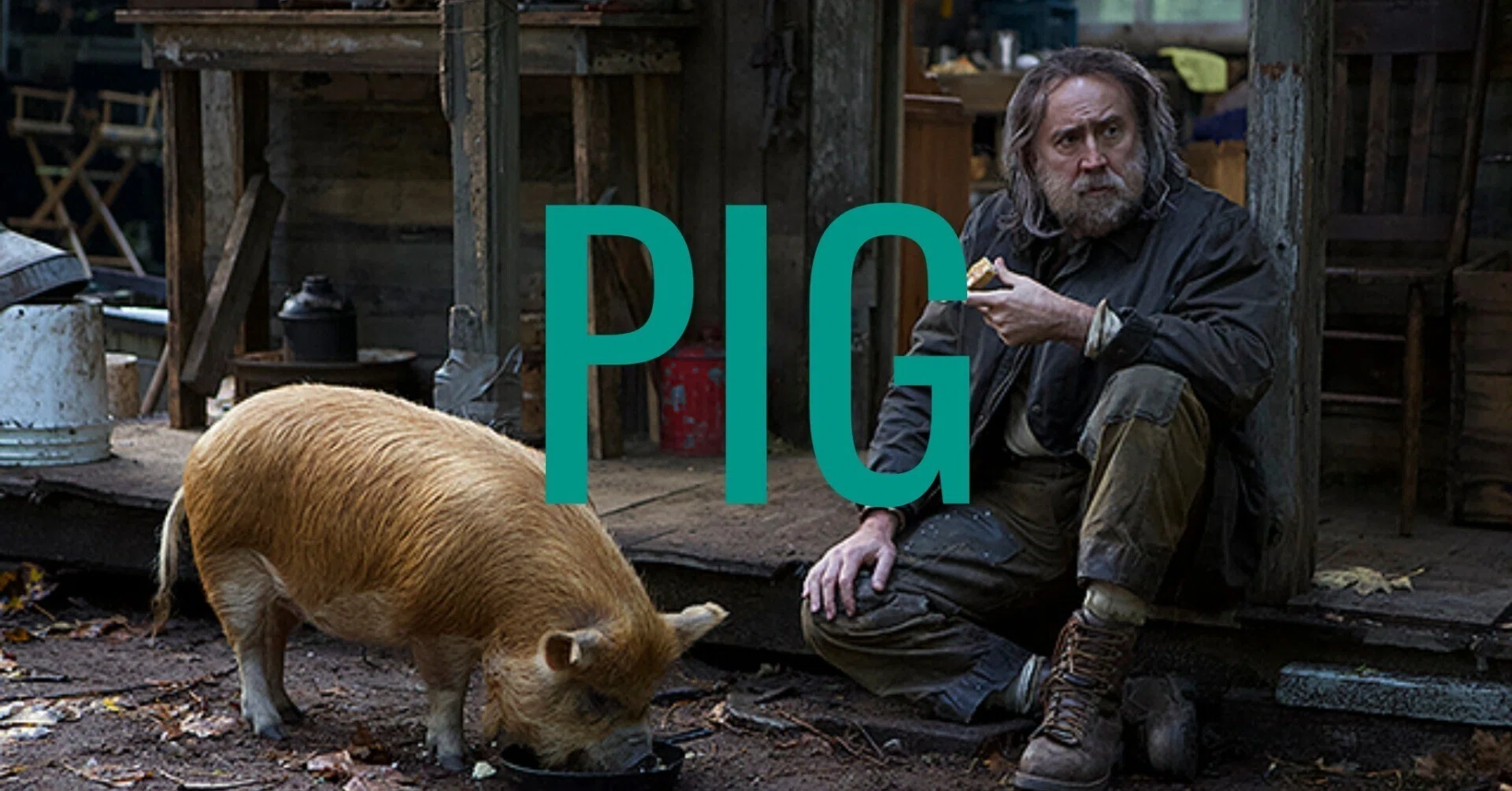 PIG／ピッグ 映画」の検索結果 - Yahoo!検索