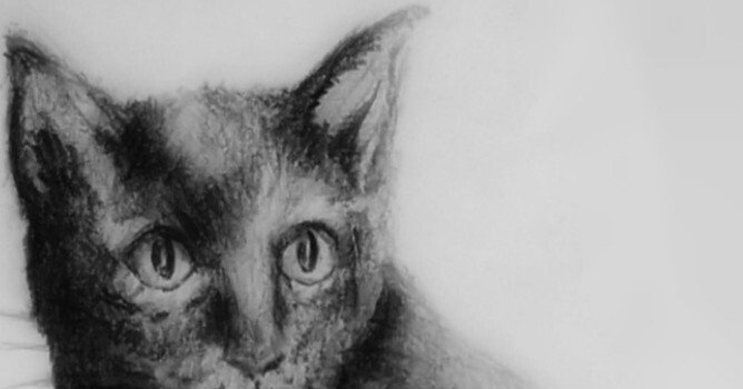 黒猫』鉛筆画｜せきぞう、