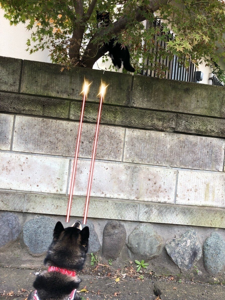 犬vs猫 Yuricorn Note 犬vs猫 Yuricorn Note
