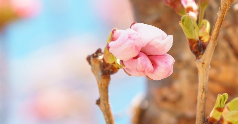 「待つ時間」もたった一度の"今日"なのだけど