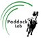 Paddock Lab／運営者 Ｎ suzuki