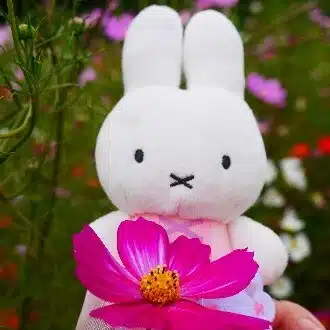 ひるげ