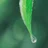 雨音