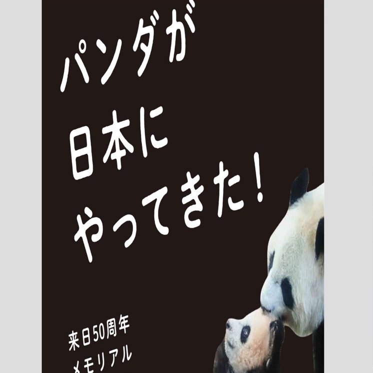 パンダが日本にやってきた！』販売情報について｜上野案内所