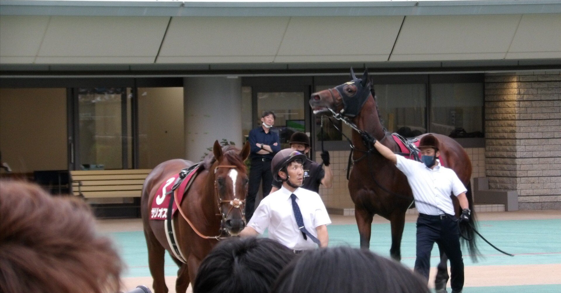 毎日王冠現地レポート、ダノンザキッドが破壊神になった日 毎日王冠現地レポート、ダノンザキッドが破壊神になった日