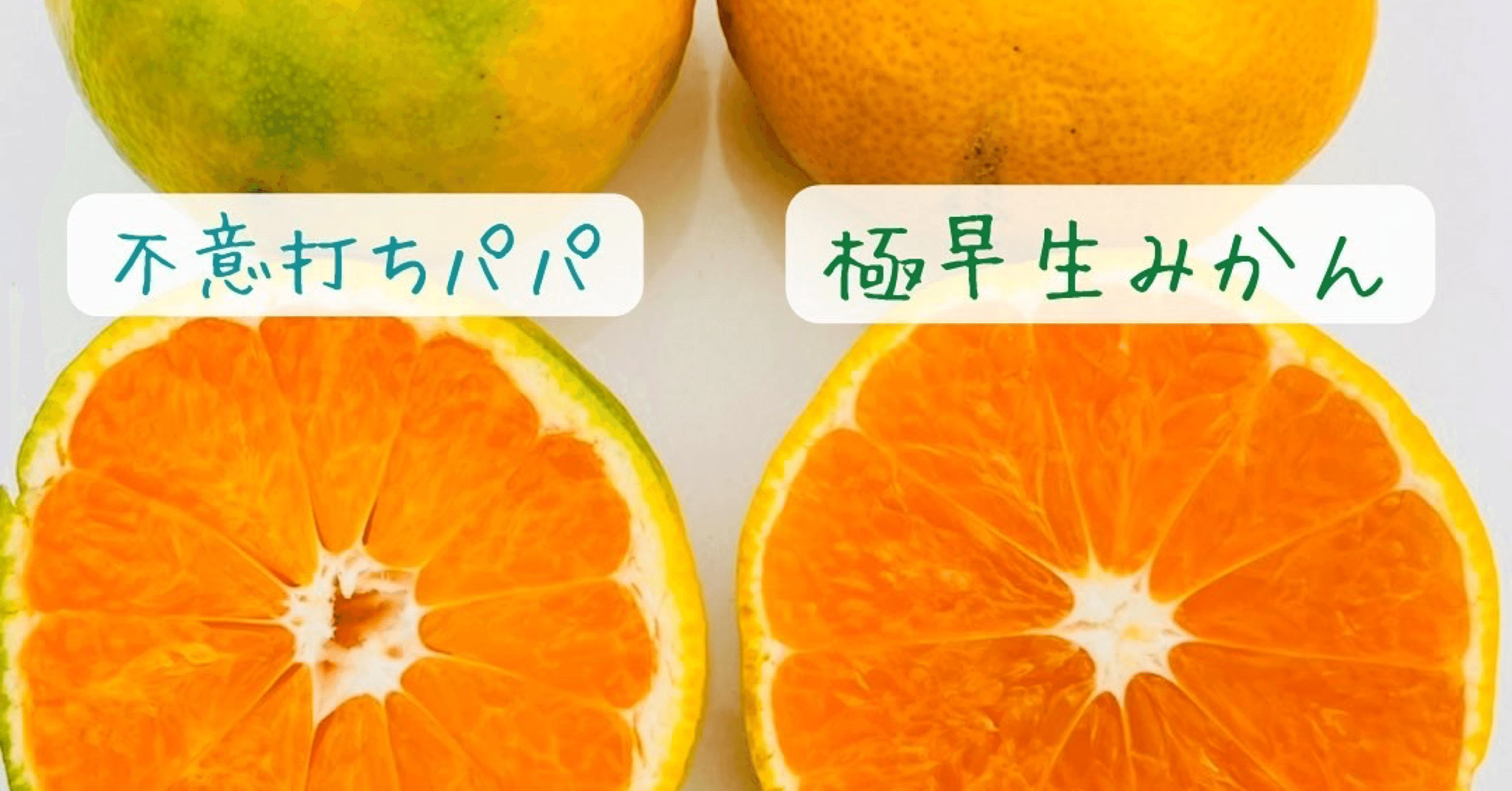 みかんパパ 🍊不意打ちみかんパパ、スタート！🍊｜🍊みかんのみっちゃん🍊