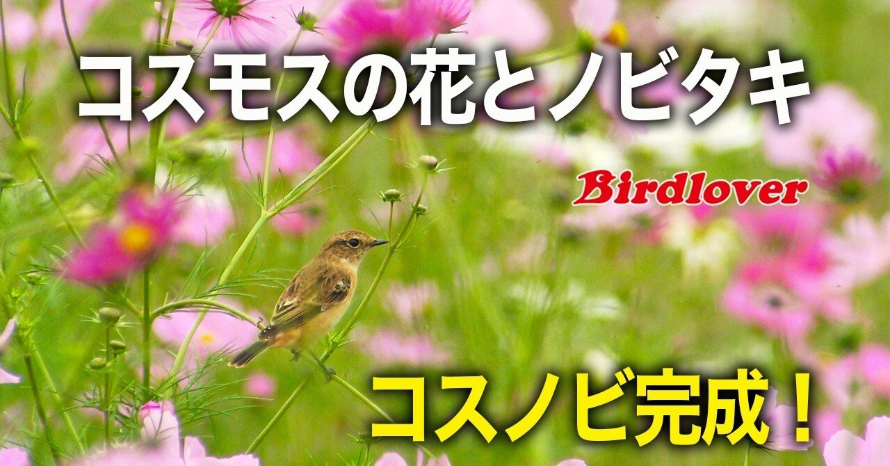 a2f98cd6e0d848abf90e0d63515fa5