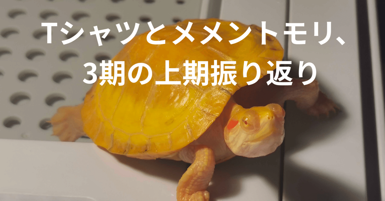 Tシャツとメメントモリ、3期の上期振り返り