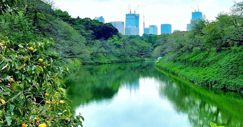 エッセイ　「秋の東京散策」