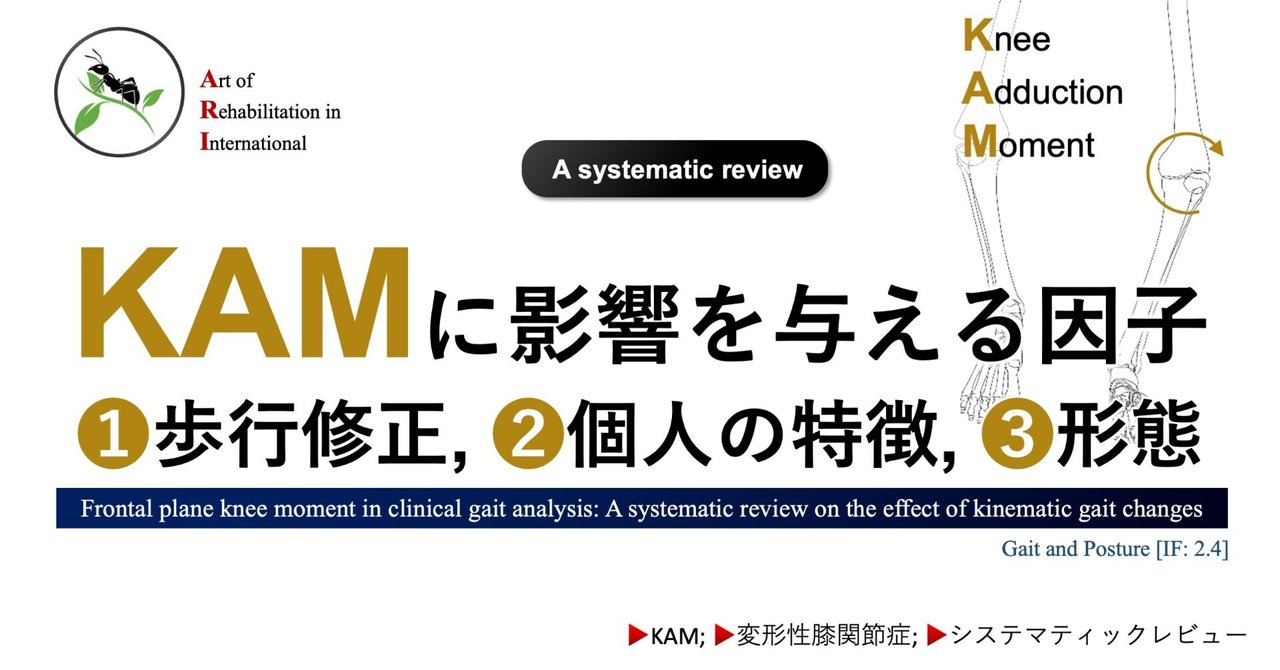 KAMに影響を与える因子。➀歩行修正, ➁個人の特徴, ➂形態