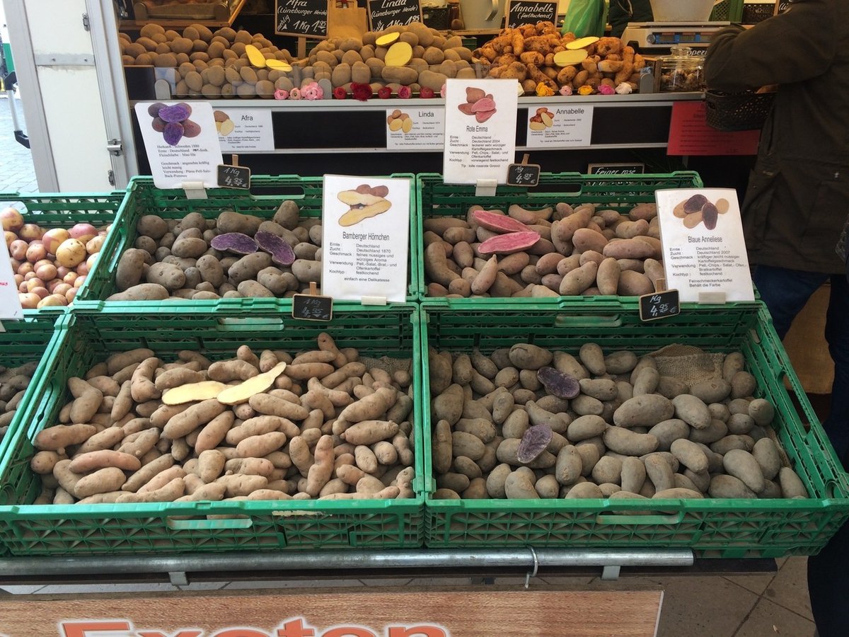 ドイツ・ベルリン、1か月いくらで生活できる？｜Hiroco Motoyanagi