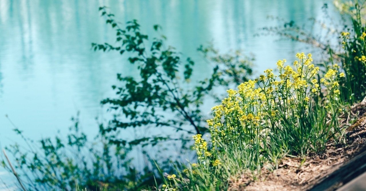 真に 教養がある とは何か 最所あさみ Note