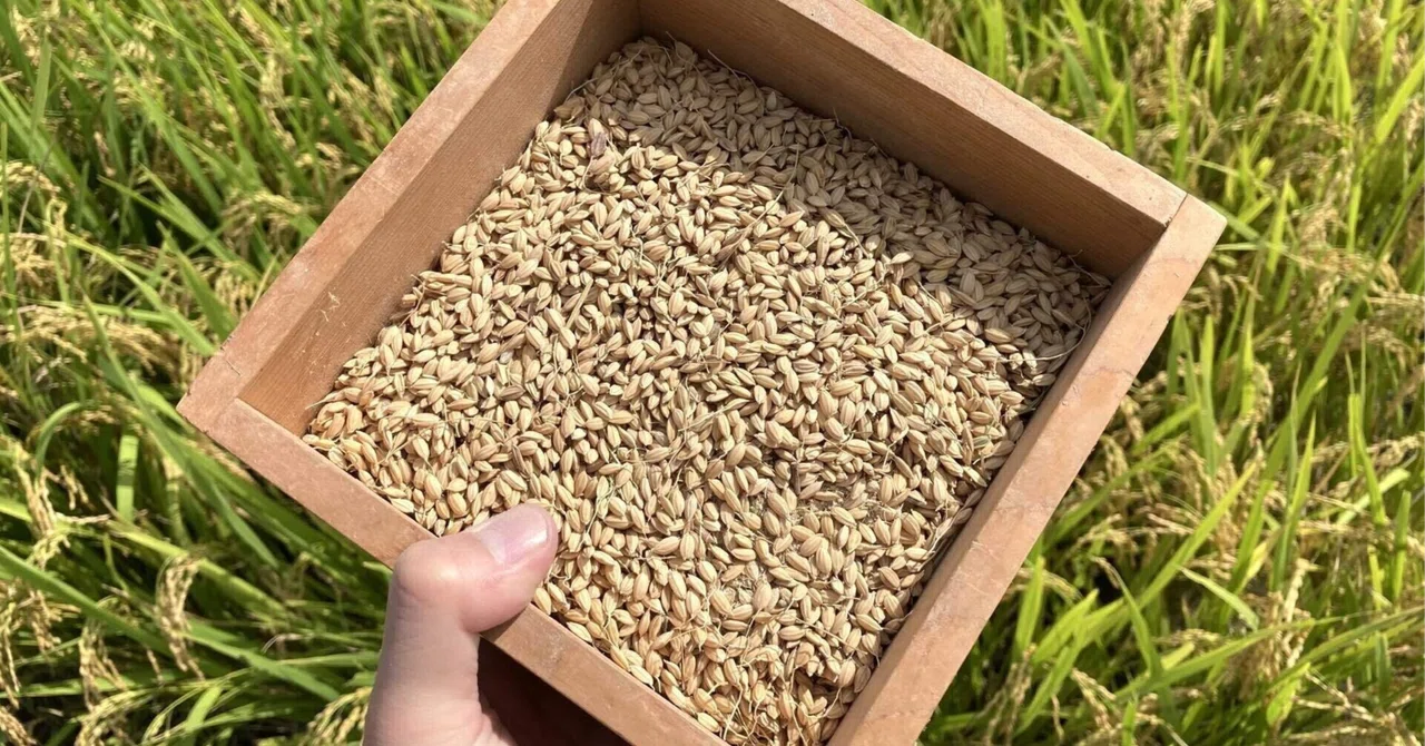 Perhaps the day will come when cheap blended rice becomes mainstream ...