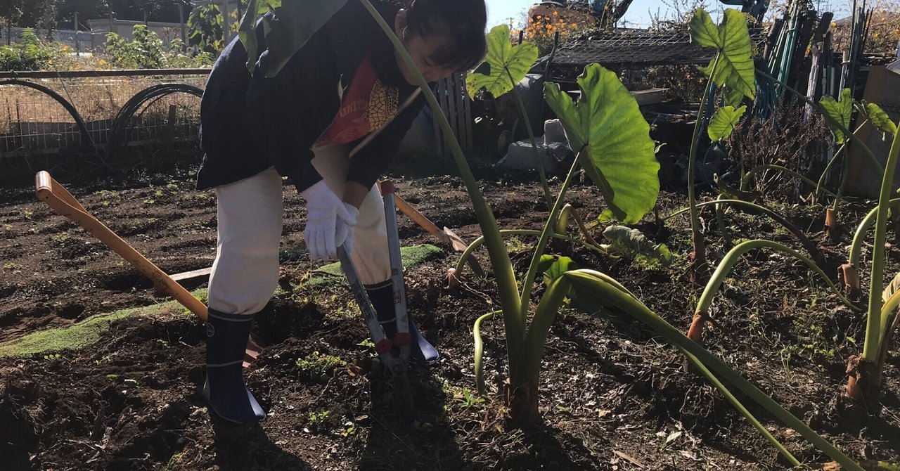 土の匂い｜Yorico Doguchi｜note