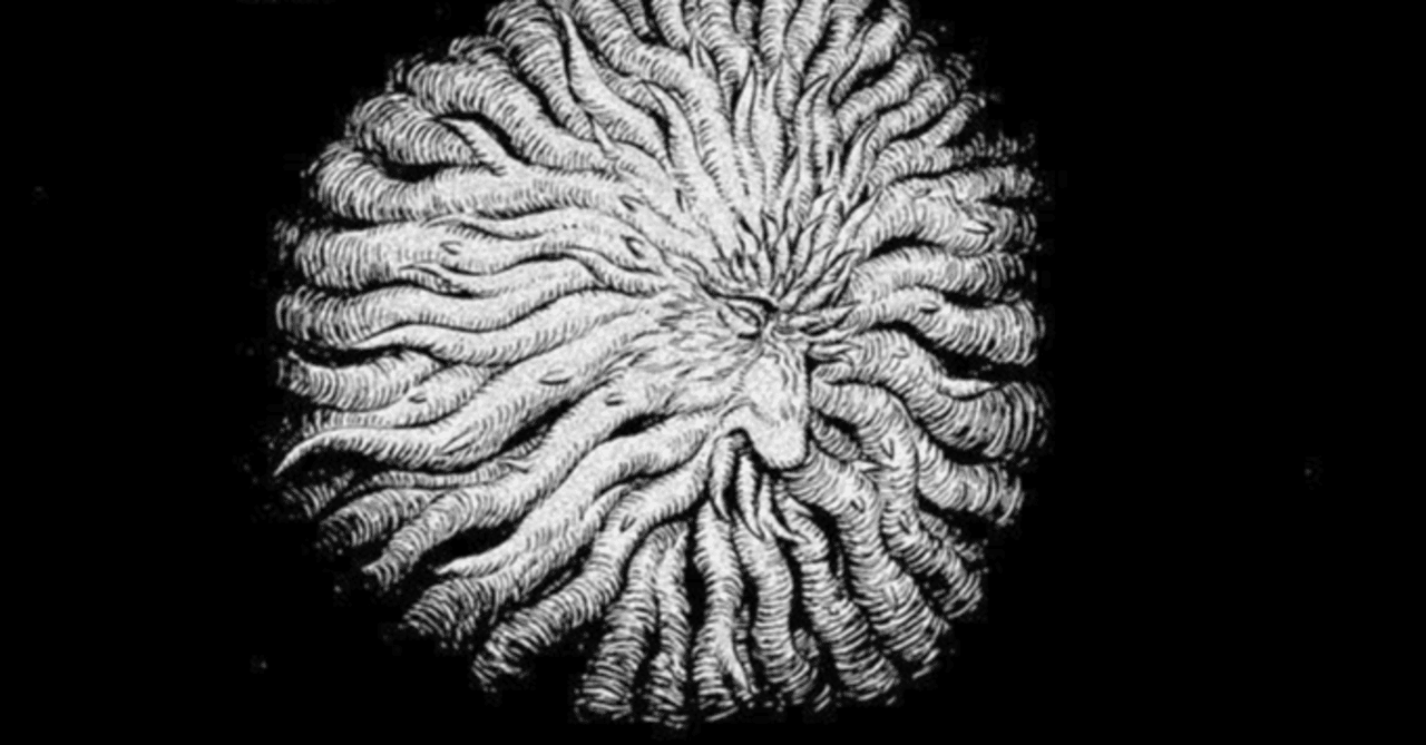 ベルセルクTCG ガニシュカ レアパラレル BK3 38/64【ベルセルク