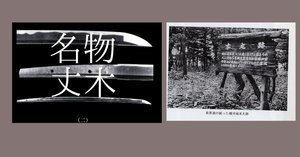 名物・丈木（七・終） ｜井伊美術館