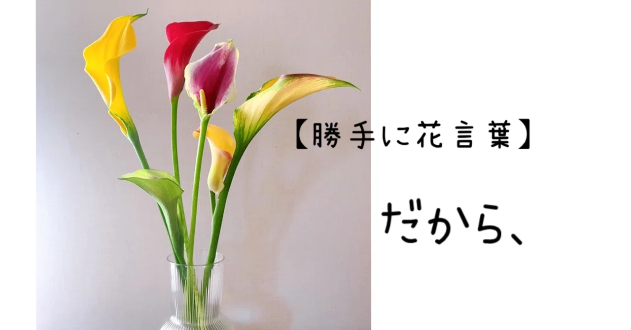 勝手に花言葉 カラー 三毛亭穂翠 Note