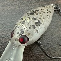注目ショップ・ブランドのギフト エリアトラウトの最終兵器！？釣れるボトムプラグ3選！シャイン ルアー・フライ