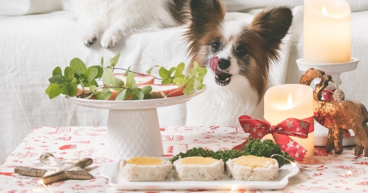 お肉で作るデザート風犬おやつ チキンロールケーキ 手作り犬おやつレシピ いちかわあやこ 犬ごはん先生 Note