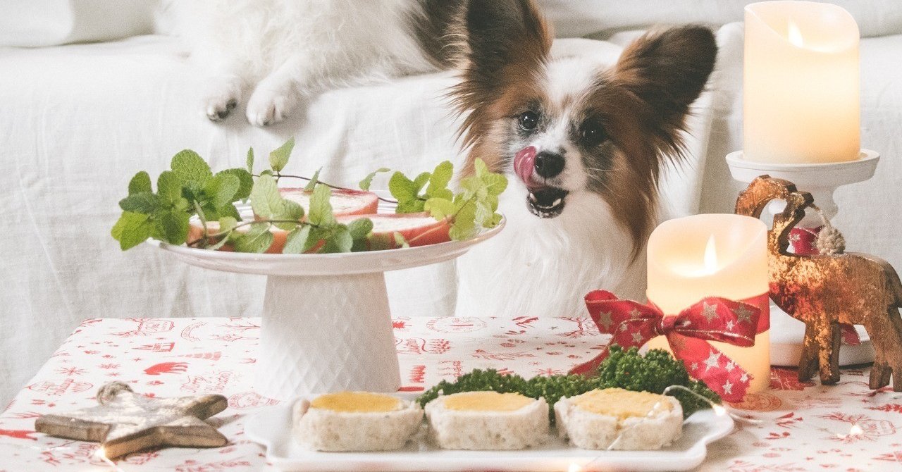 お肉で作るデザート風犬おやつ チキンロールケーキ 手作り犬おやつレシピ 単品購入 いちかわあやこ 犬ごはん先生 Note
