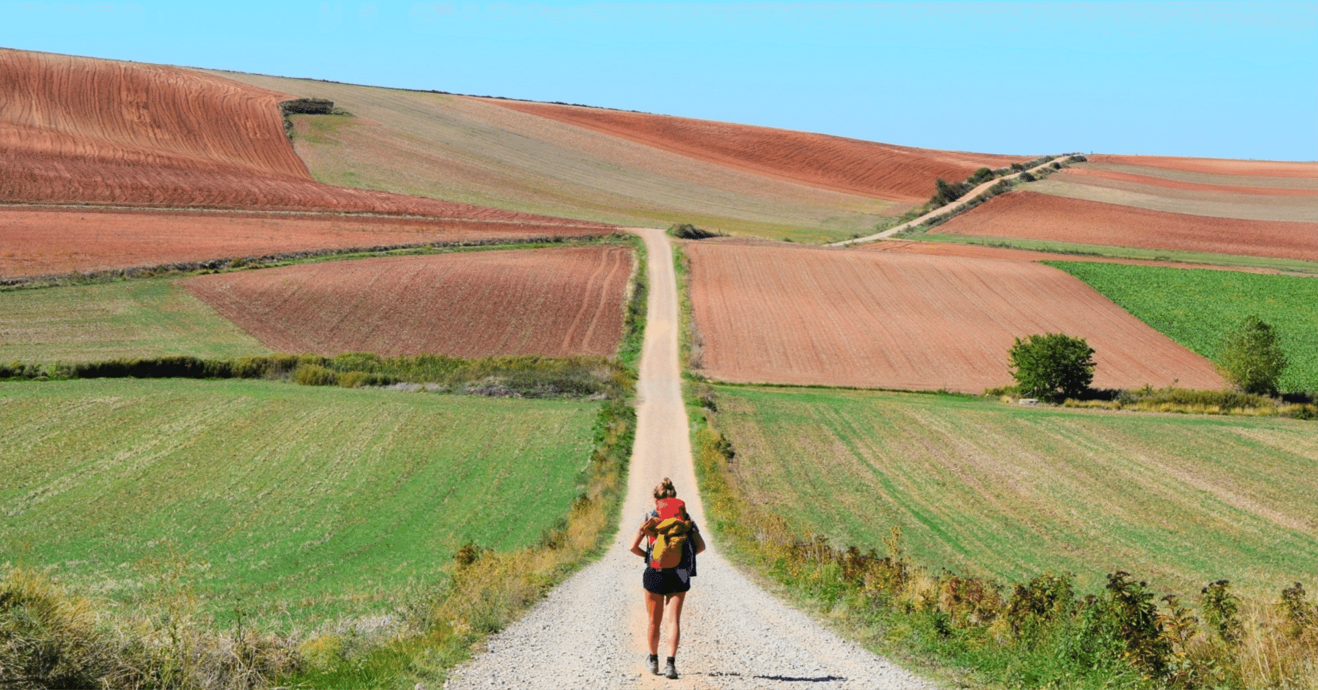 名匠アニエス・ヴァルダが、映画を通して伝えたかったこと（映画「顔