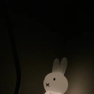 Kotsukko