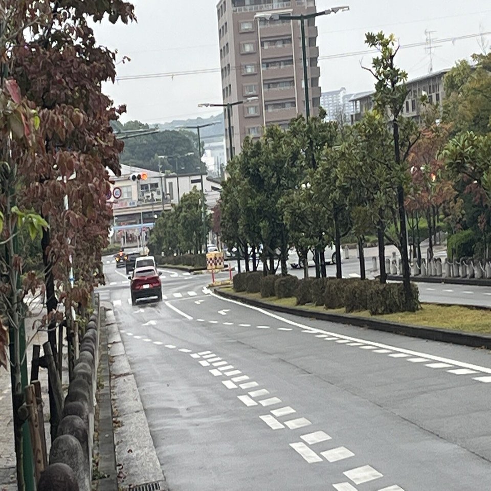 里帰り 薩摩 谷口  金盛上多彩花鳥風景図  ①      582  お値引OK 里帰り 薩摩 谷口 金盛上多彩花鳥風景図 ③ 584 お値引きOK