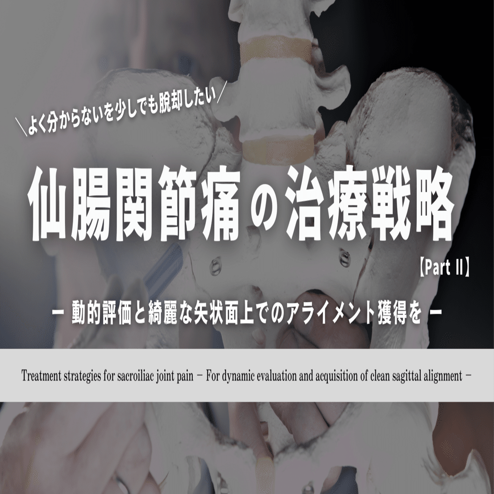 仙腸関節に対するシステマティックな評価